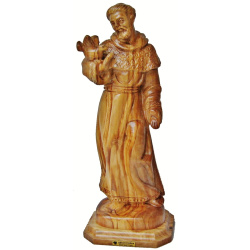 saint francis assisi statue